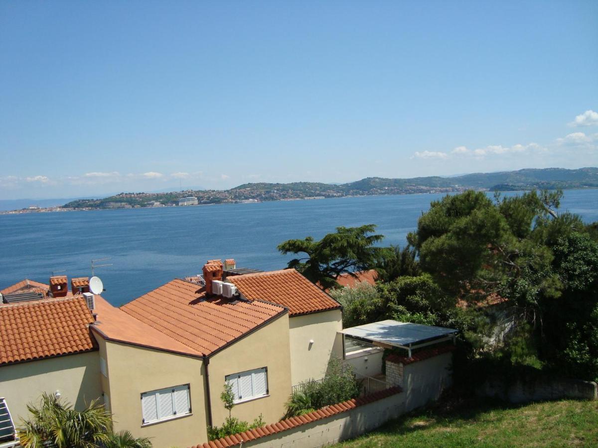 Apartman Carmen Crveni Vrh Bagian luar foto